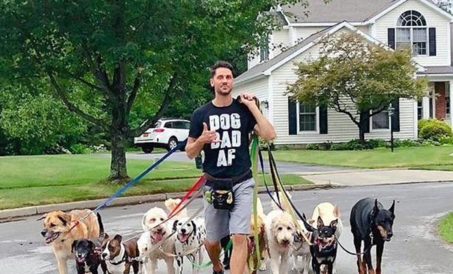 骑自行车遛狗完全指南：三步掌握安全遛狗技巧