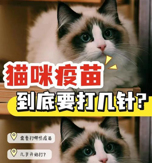 狗狗缩宫素使用频率及注意事项详解,保障宠物健康安全 狗狗缩宫素使用频率及注意事项详解,保障宠物健康安全