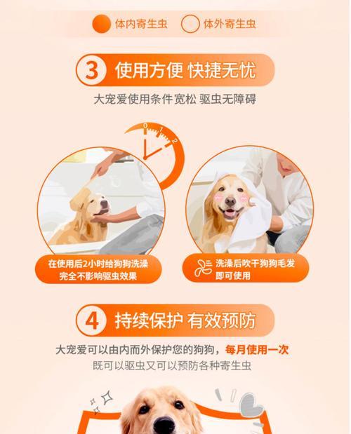 兔子耳螨预防治疗全攻略：症状识别与护理方法