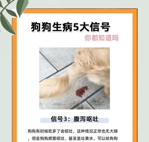 养护知识