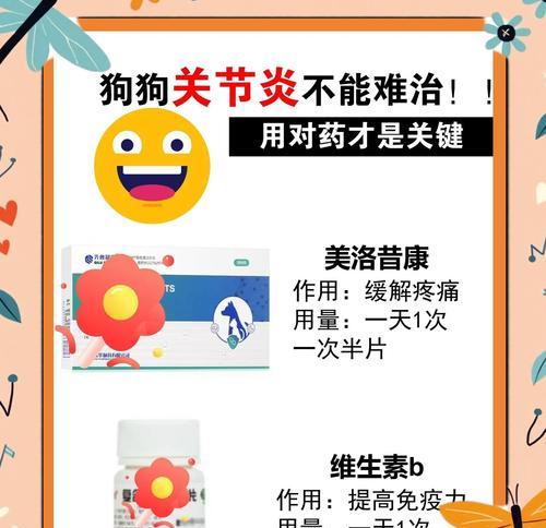 狗狗止痛药持续时间详解:影响因素与安全用药指南 狗狗止痛药持续时间详解:影响因素与安全用药指南