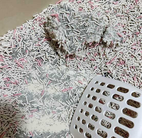 囧宝木薯混合豆腐砂测评：性价比不错的猫砂选择