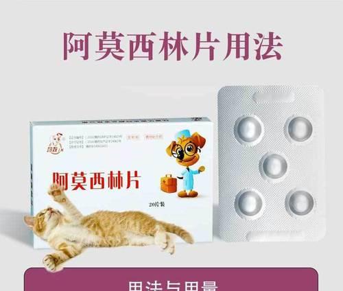 猫咪感冒症状识别与安全用药指南,助爱宠快速康复 猫咪感冒症状识别与安全用药指南,助爱宠快速康复