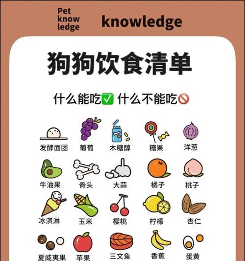 狗狗营养补充指南：科学搭配饮食保障宠物健康