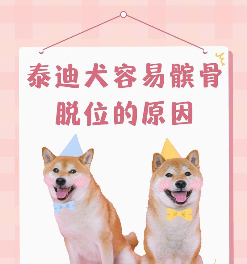 泰迪狗频繁抖动的原因分析及解决方法