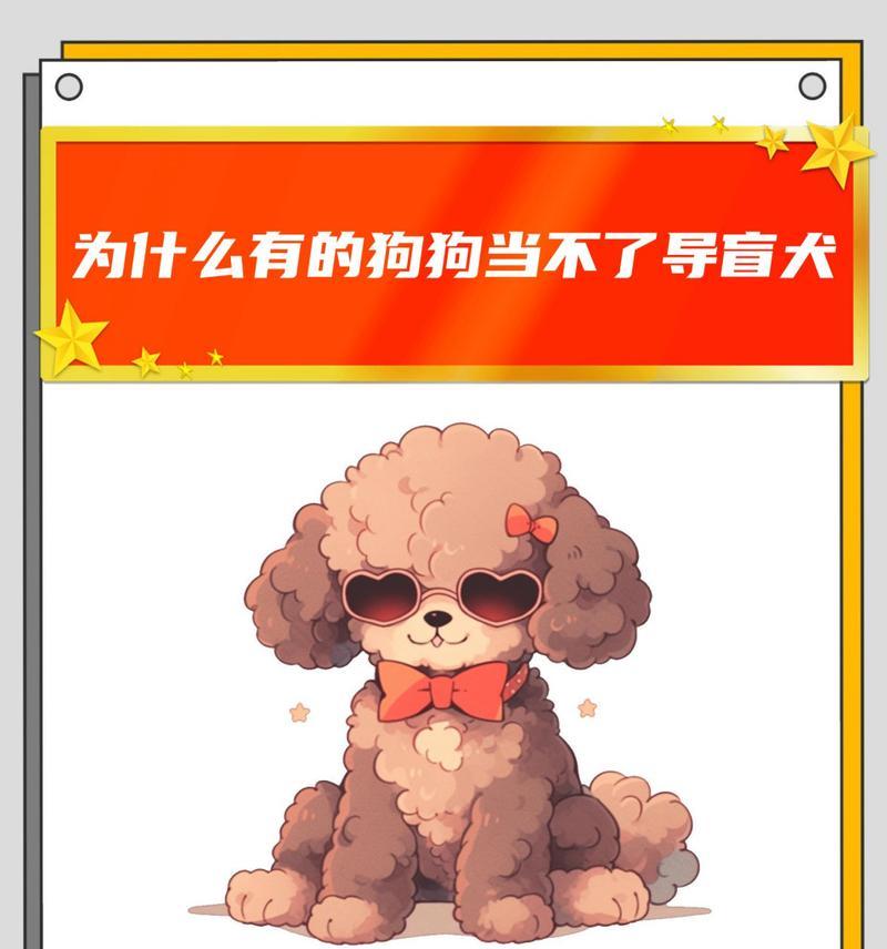 泰迪狗频繁抖动的原因分析及解决方法