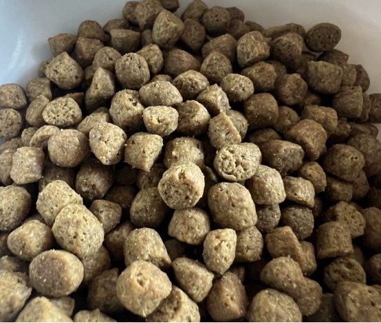 伯纳天纯鸡肉乳鸽酥化粮测评 性价比高的优质猫粮选择 伯纳天纯鸡肉乳鸽酥化粮测评 性价比高的优质猫粮选择