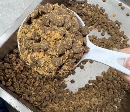 福丸鸭肉梨狗粮测评:中等品质性价比分析 福丸鸭肉梨狗粮测评:中等品质性价比分析