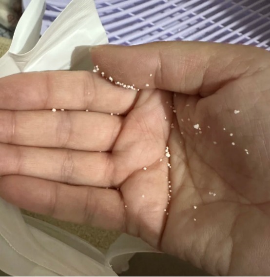 福丸木薯猫砂测评:结团好不粘底但带砂严重需搭配专用砂盆 福丸木薯猫砂测评:结团好不粘底但带砂严重需搭配专用砂盆