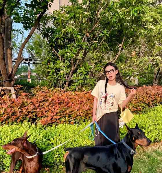 女孩子适合养什么大狗品种推荐，性格温顺安全陪伴犬选择指南