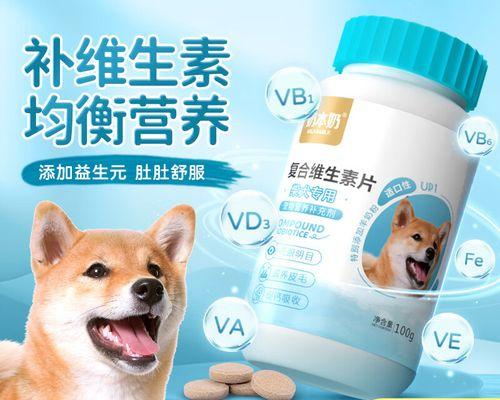 柴犬生食饮食指南:适宜食物与注意事项全解析 柴犬生食饮食指南:适宜食物与注意事项全解析