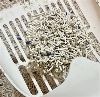 墨墨班长高粱混合猫砂测评:除臭效果出色但价格偏高 墨墨班长高粱混合猫砂测评:除臭效果出色但价格偏高