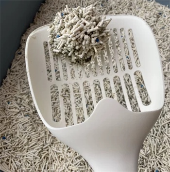 彼悦5合1混合猫砂测评:结团效果与性价比分析 彼悦5合1混合猫砂测评:结团效果与性价比分析