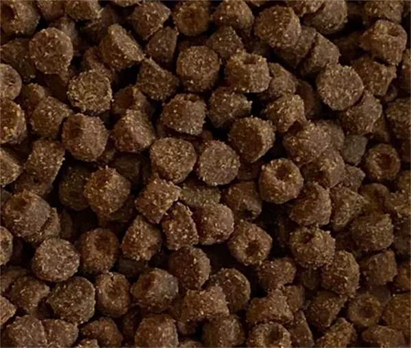 尾巴生活鸡肉烘焙猫粮测评:高肉含量无谷配方助力猫咪健康成长 尾巴生活鸡肉烘焙猫粮测评:高肉含量无谷配方助力猫咪健康成长