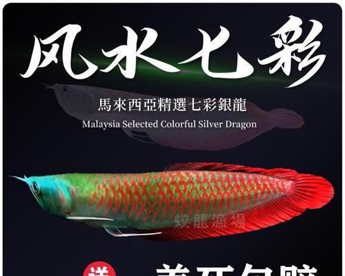 龙鱼水质要求全攻略:打造适宜生长的理想水环境 龙鱼水质要求全攻略:打造适宜生长的理想水环境