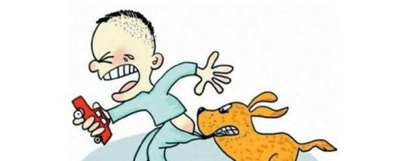 萨摩犬咬人原因分析及预防措施全解