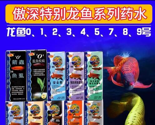 龙鱼水质要求全攻略:打造适宜生长的理想水环境 龙鱼水质要求全攻略:打造适宜生长的理想水环境