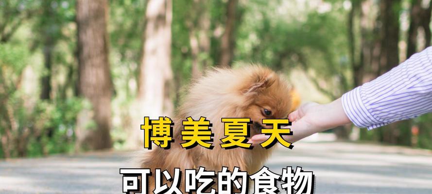 狗狗例假期饮食护理全攻略：15个关键要点助爱犬健康度过特殊时期