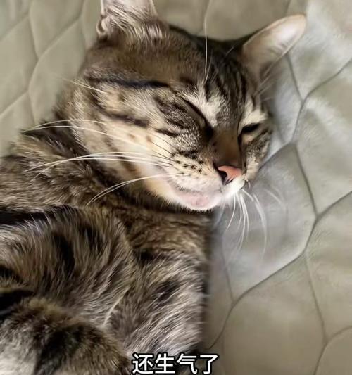养护知识