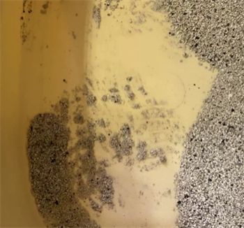 喵彩白标矿砂测评:优缺点分析及使用体验分享 喵彩白标矿砂测评:优缺点分析及使用体验分享