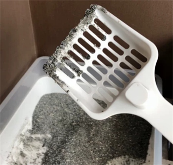 喵彩黑标钠基矿砂测评:除臭虽好但粘底严重性价比偏低 喵彩黑标钠基矿砂测评:除臭虽好但粘底严重性价比偏低