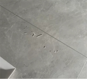 猫殿下银砖小苏打猫砂测评：结团除臭表现优异，性价比高的混砂选择