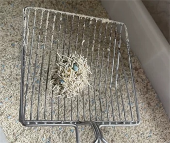 猫殿下银砖小苏打猫砂测评：结团除臭表现优异，性价比高的混砂选择