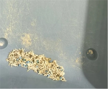 猫殿下银砖小苏打猫砂测评：结团除臭表现优异，性价比高的混砂选择