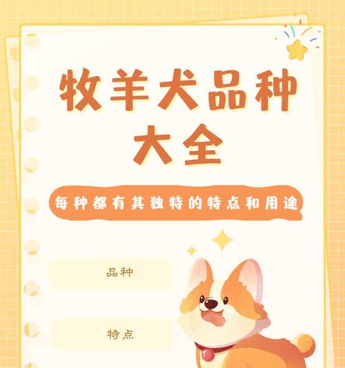 牧羊犬为什么是放羊的理想助手：智力与本能的完美结合