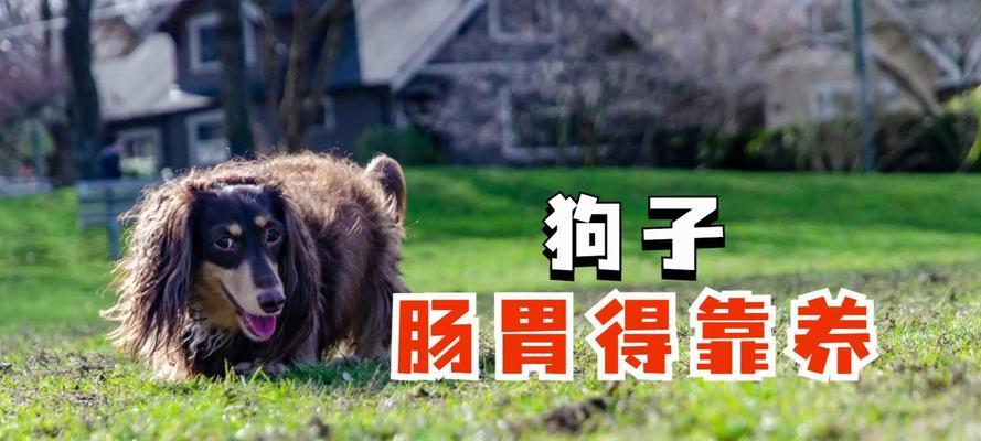 养护知识