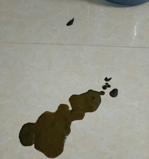 细小便便的生态价值与科学奥秘解析