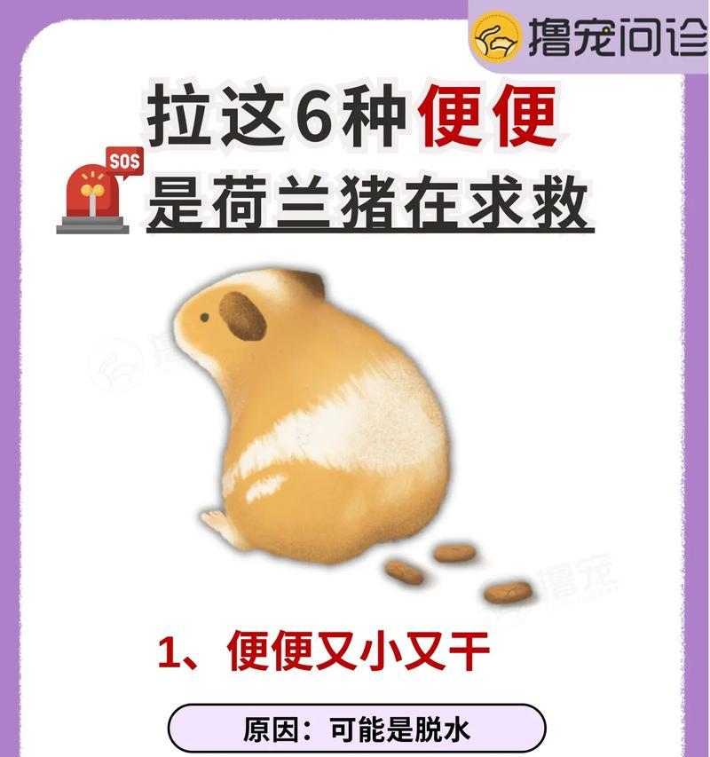 细小便便的生态价值与科学奥秘解析