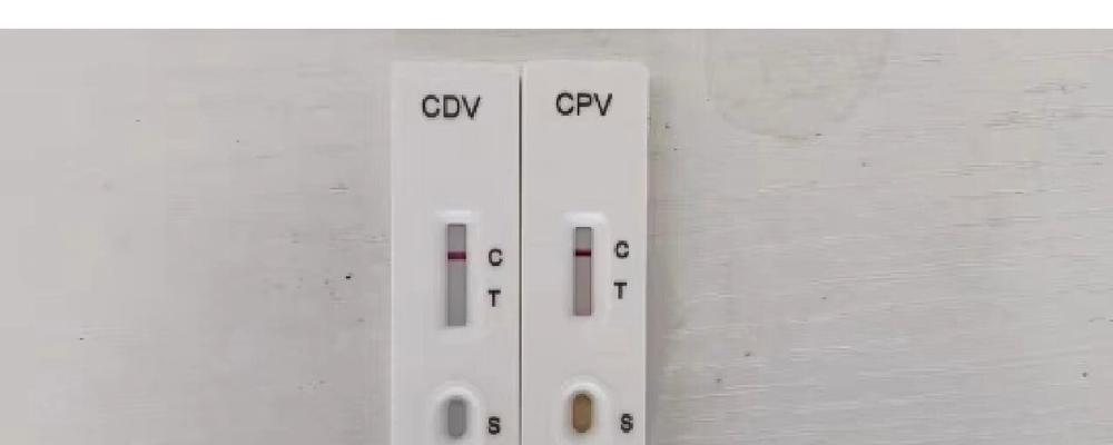 狗狗犬瘟腹泻治疗全攻略：药物治疗与饮食调理方法
