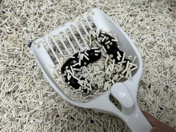 恋猫恋狗豆腐混合猫砂测评：颗粒细腻结团快除臭效果佳