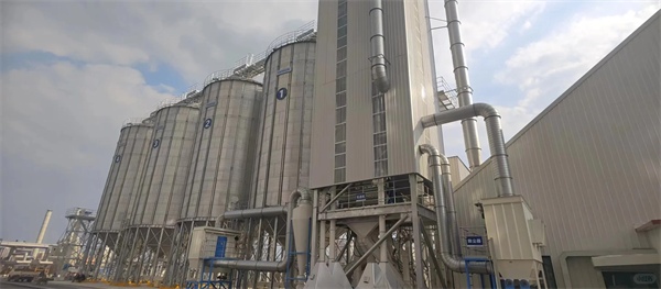 网易天成禽肉配方猫罐头测评 营养价值高但价格偏贵 网易天成禽肉配方猫罐头测评 营养价值高但价格偏贵