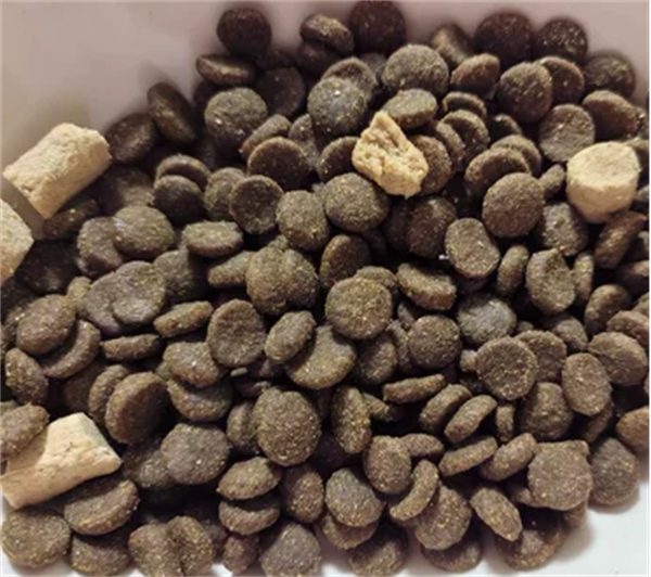 高爷家麦肯鸡猫粮测评:单一肉源低敏配方适合肠胃敏感猫咪 高爷家麦肯鸡猫粮测评:单一肉源低敏配方适合肠胃敏感猫咪