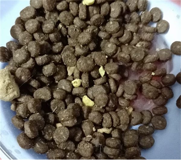 耐吉斯鲜肉甜甜圈猫粮测评:高蛋白适口性好性价比优 耐吉斯鲜肉甜甜圈猫粮测评:高蛋白适口性好性价比优