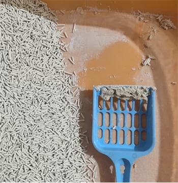 鲜御原味豆腐猫砂测评:结团效果差粉尘大需改进 鲜御原味豆腐猫砂测评:结团效果差粉尘大需改进