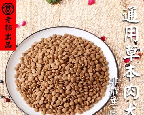 金毛肠炎药物止泻治疗方法详解，各类止泻药作用机制与使用注意事项