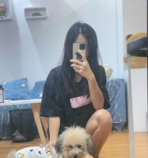 泰迪狗为什么总是舔地面？15个原因解析狗狗行为习惯