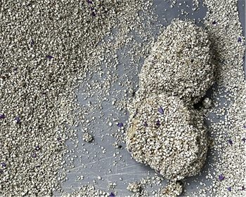 里兜小银钻猫砂测评|除臭结团实力强 里兜小银钻猫砂测评|除臭结团实力强