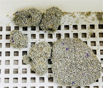 里兜小银钻猫砂测评|除臭结团实力强 里兜小银钻猫砂测评|除臭结团实力强