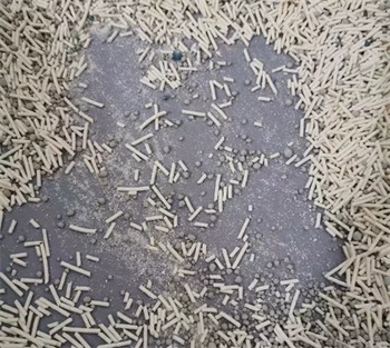 瑞梦迪1.5mm混合猫砂测评|脚感佳但有粘底问题 瑞梦迪1.5mm混合猫砂测评|脚感佳但有粘底问题