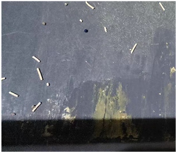 瑞梦迪1.5mm混合猫砂测评|脚感佳但有粘底问题 瑞梦迪1.5mm混合猫砂测评|脚感佳但有粘底问题