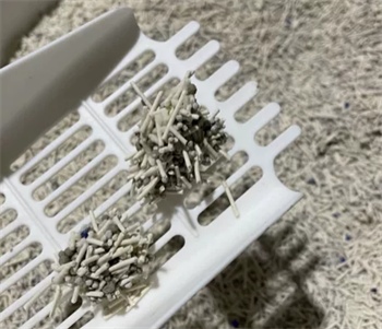 瑞梦迪1.5mm混合猫砂测评|脚感佳但有粘底问题 瑞梦迪1.5mm混合猫砂测评|脚感佳但有粘底问题