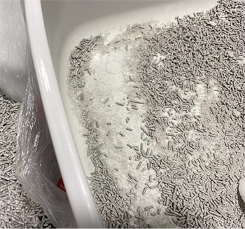 好主人活性炭豆腐猫砂测评｜真实使用体验与优缺点分析