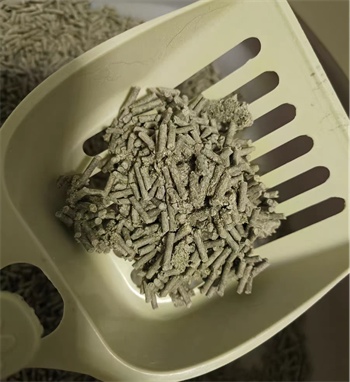 好主人活性炭豆腐猫砂测评｜真实使用体验与优缺点分析