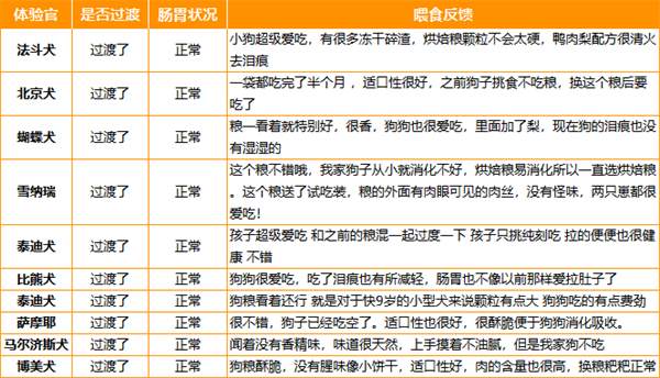 纯刻P36狗粮测评｜高蛋白低敏配方实用指南