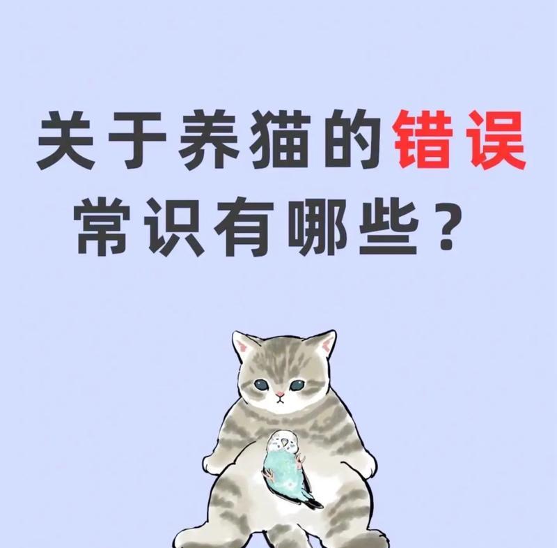 猫咪吃猫粮拉稀怎么办|实用指南解决消化问题 猫咪吃猫粮拉稀怎么办|实用指南解决消化问题