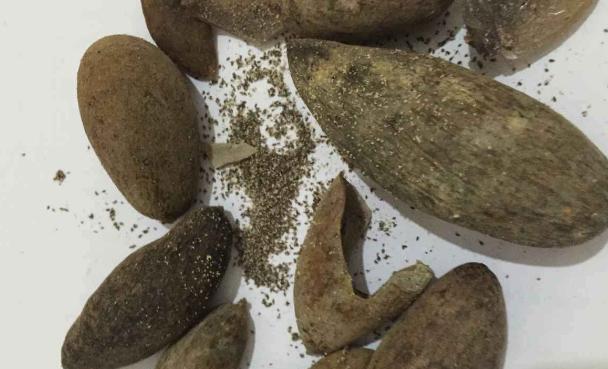 肚子长虫常见症状全攻略|识别与预防指南 肚子长虫常见症状全攻略|识别与预防指南